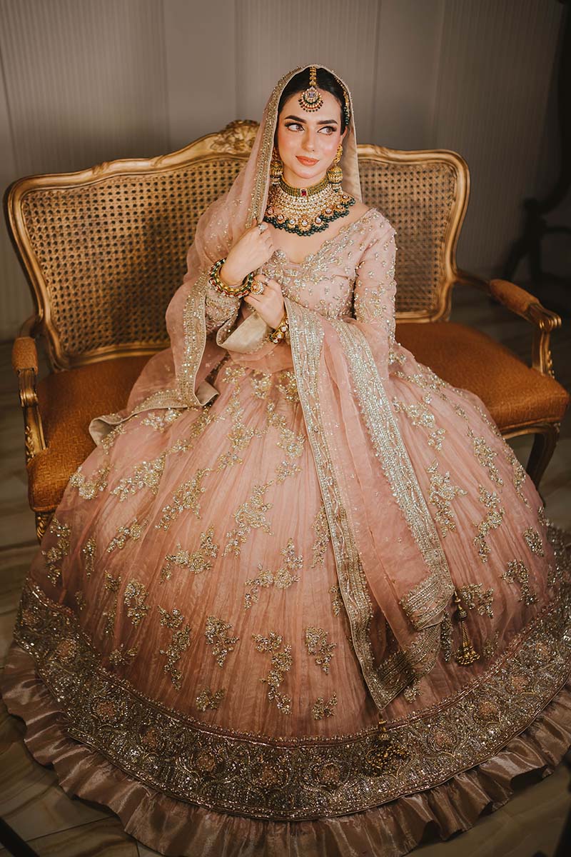 Tea Rose Embellished Organza Pishwas Dress (3-Piece) - Image 7