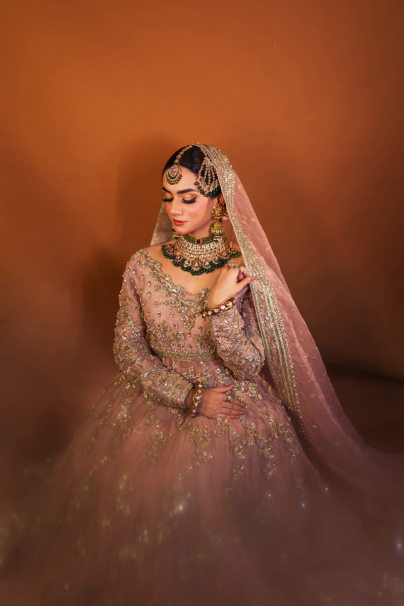 Tea Rose Embellished Organza Pishwas Dress (3-Piece) - Image 4