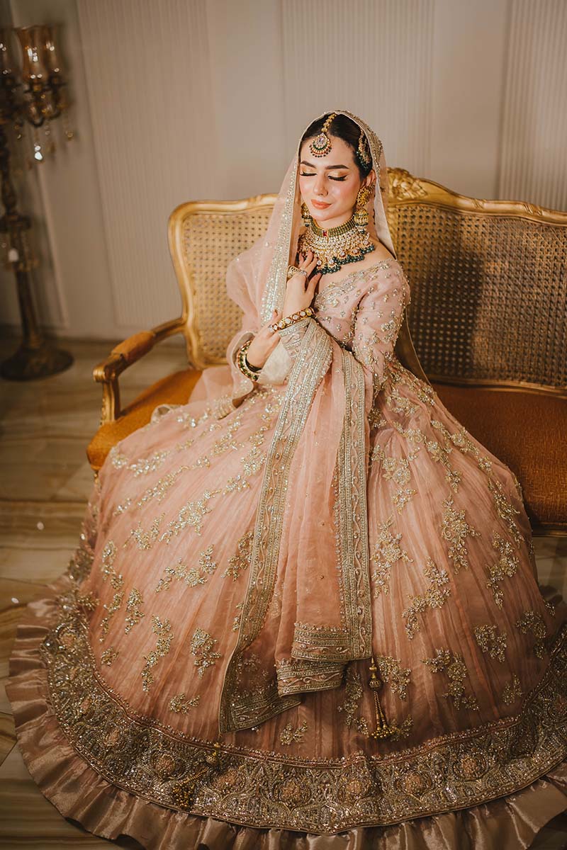 Tea Rose Embellished Organza Pishwas Dress (3-Piece) - Image 8