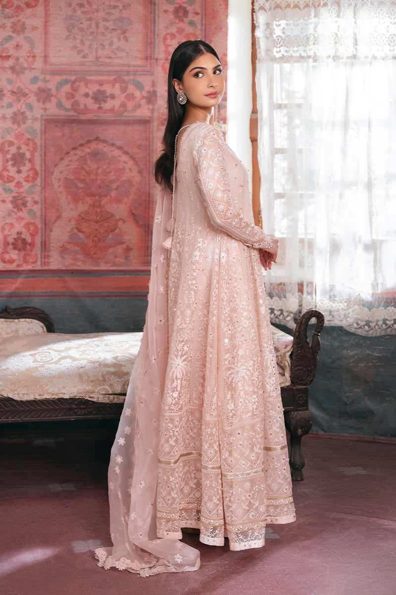 Pakistani Soft Pink Embroidered Organza Pishwas Dress (3-Piece) - Image 3