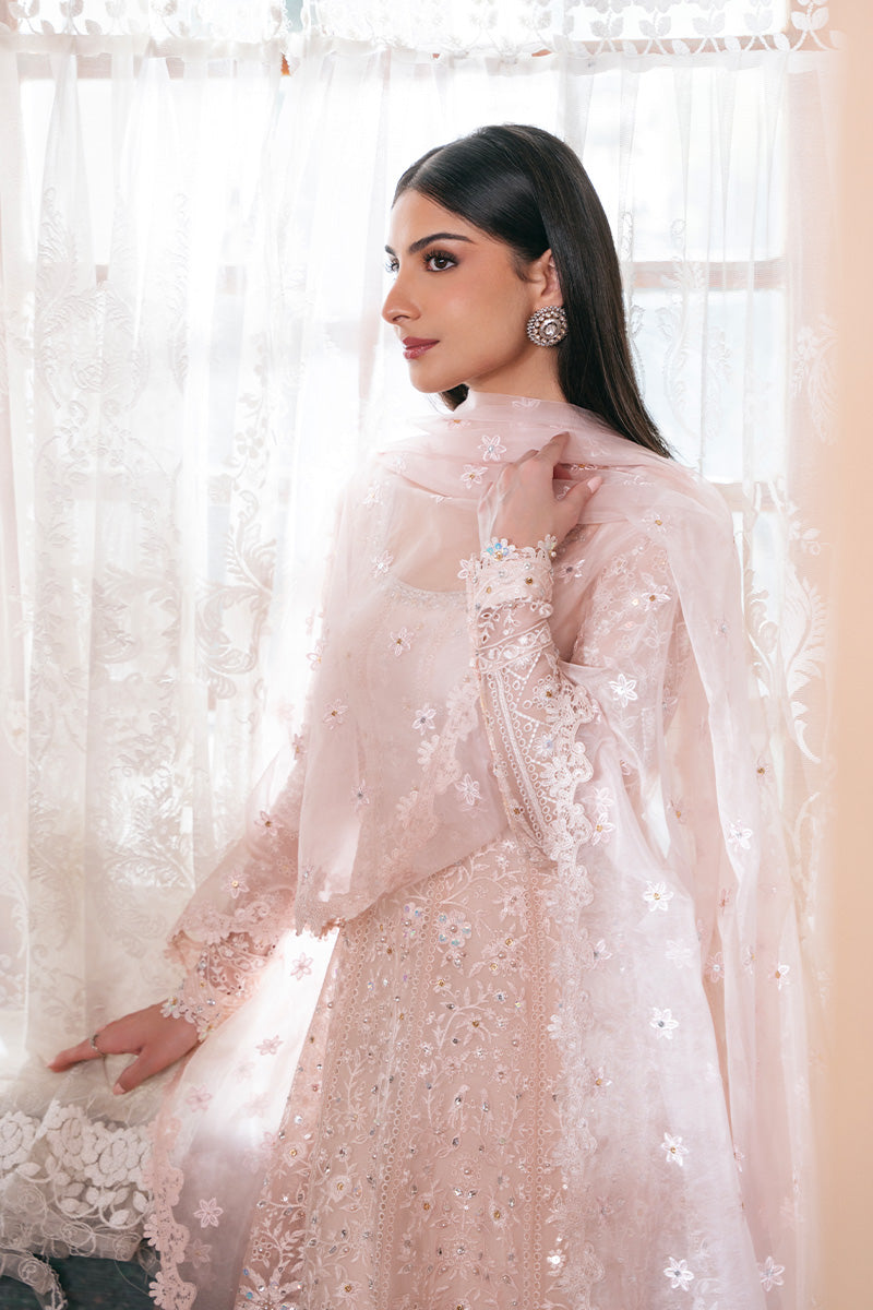 Pakistani Soft Pink Embroidered Organza Pishwas Dress (3-Piece) - Image 6
