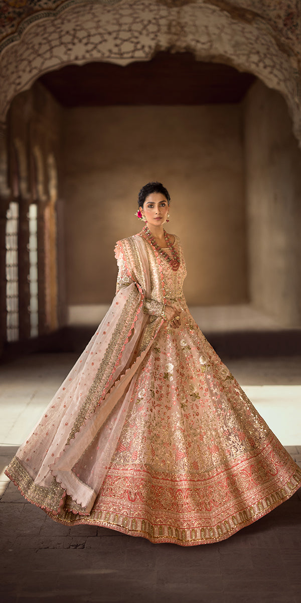 Pakistani Soft Pink Embroidered Organza Pishwas Dress (3-Piece) - Image 6