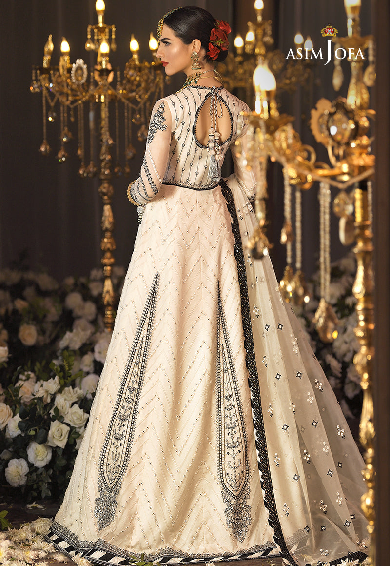 Pakistani Peach Embroidered Organza Pishwas Dress (3-Piece) - Image 12