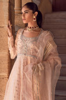 Blush Peach Embroidered Organza & Silk Pishwas (3-Piece) - Image 3