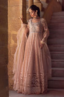 Blush Peach Embroidered Organza & Silk Pishwas (3-Piece) - Image 4