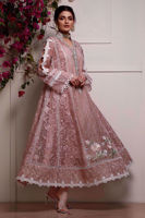 Blush Pink Embroidered Organza Pishwas (3-Piece) - Image 4