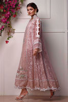 Blush Pink Embroidered Organza Pishwas (3-Piece) - Image 6