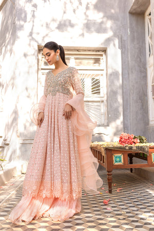 Pakistani Blush Pink Embroidered Net Pishwas Dress (2-Piece) - Image 1