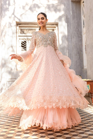 Pakistani Blush Pink Embroidered Net Pishwas Dress (2-Piece) - Image 2