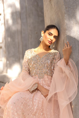 Pakistani Blush Pink Embroidered Net Pishwas Dress (2-Piece) - Image 4