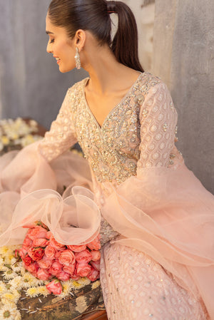 Pakistani Blush Pink Embroidered Net Pishwas Dress (2-Piece) - Image 5