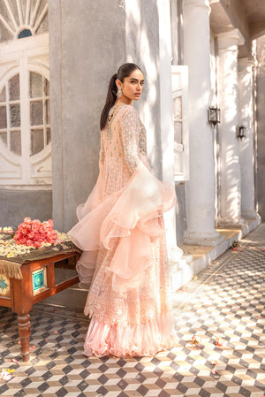 Pakistani Blush Pink Embroidered Net Pishwas Dress (2-Piece) - Image 6