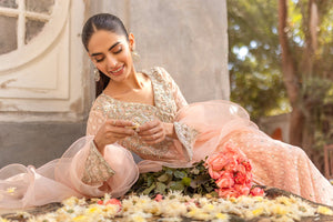 Pakistani Blush Pink Embroidered Net Pishwas Dress (2-Piece) - Image 7