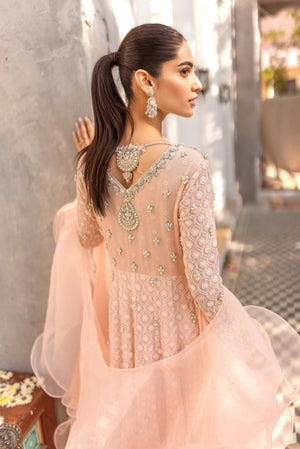 Pakistani Blush Pink Embroidered Net Pishwas Dress (2-Piece) - Image 8