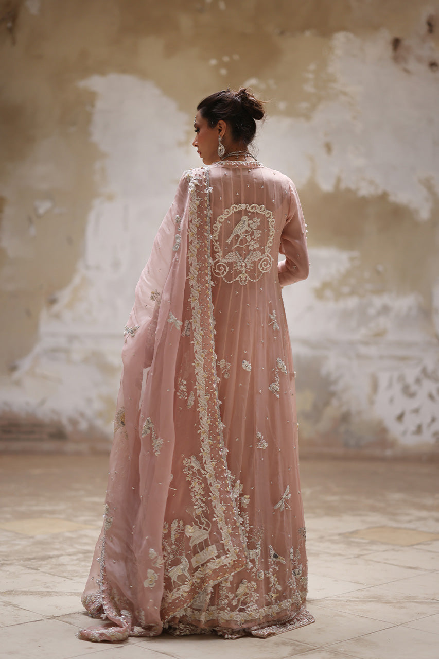 Pakistani Nude Pink Embroidered Organza Pishwas Dress (3-Piece) - Image 2