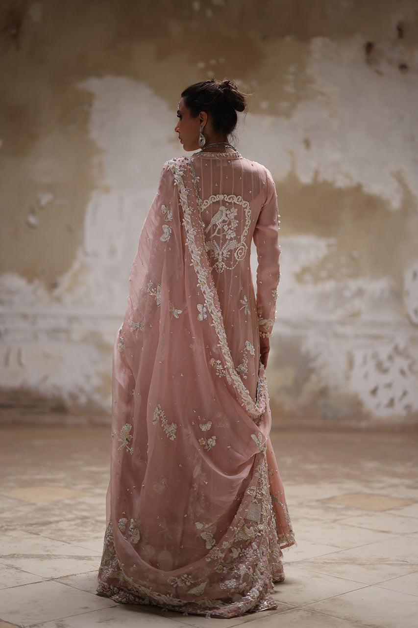 Pakistani Nude Pink Embroidered Organza Pishwas Dress (3-Piece) - Image 7