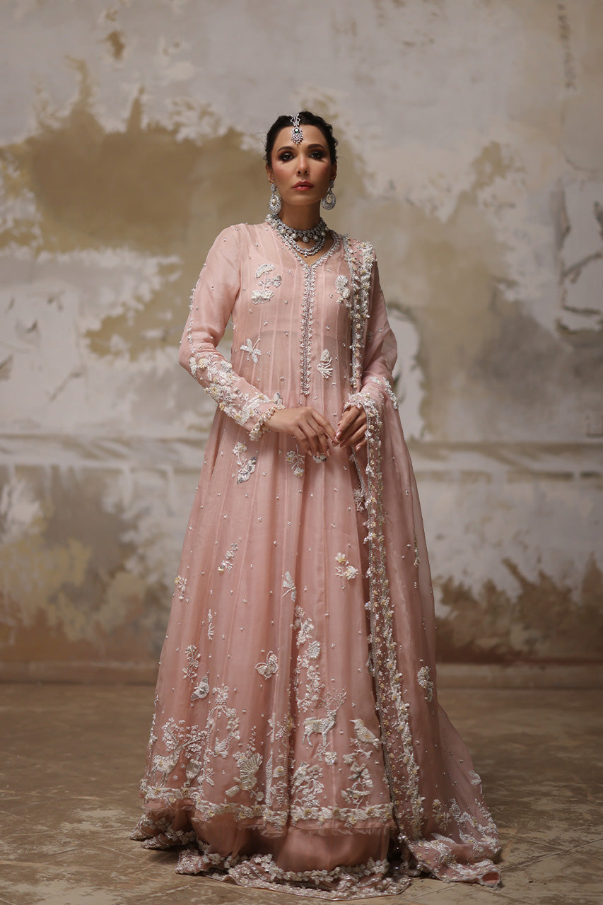 Nude Pink Embroidered Organza Pishwas Dress (3-Piece) - Image 1
