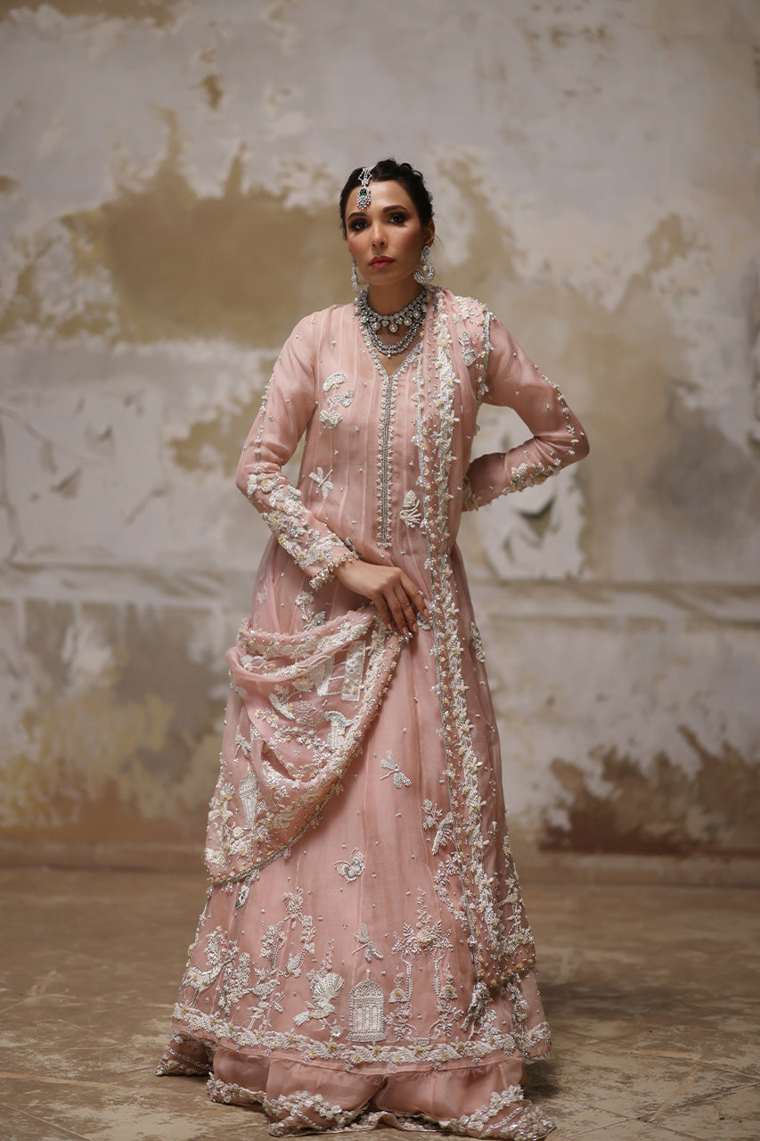 Nude Pink Embroidered Organza Pishwas Dress (3-Piece) - Image 3