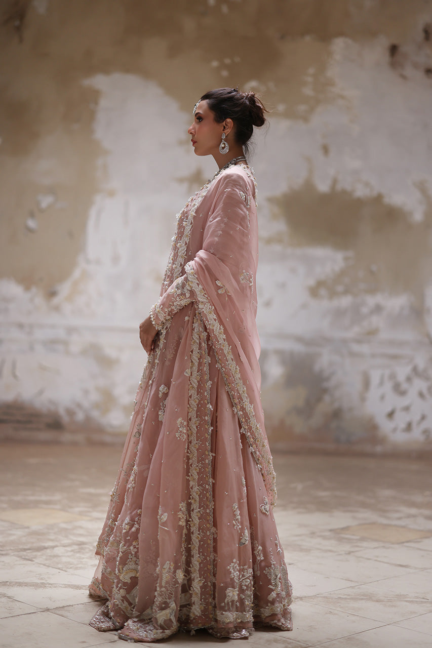 Nude Pink Embroidered Organza Pishwas Dress (3-Piece) - Image 5