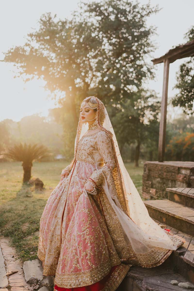 Pakistani Blush Pink Zardozi Organza Pishwas Dress (3-Piece) - Image 4