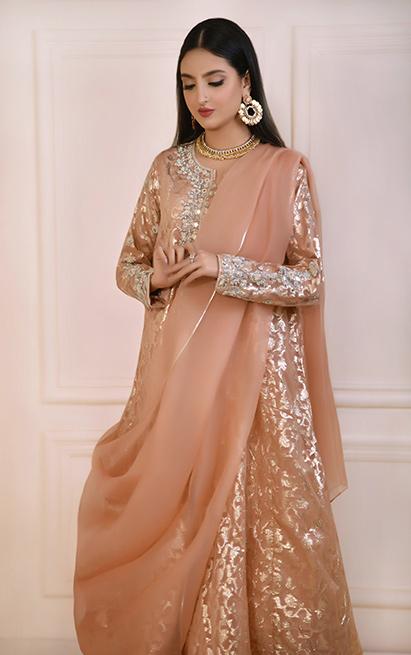 Peach Zardozi Organza Zari Pishwas (3-Piece) - Image 1