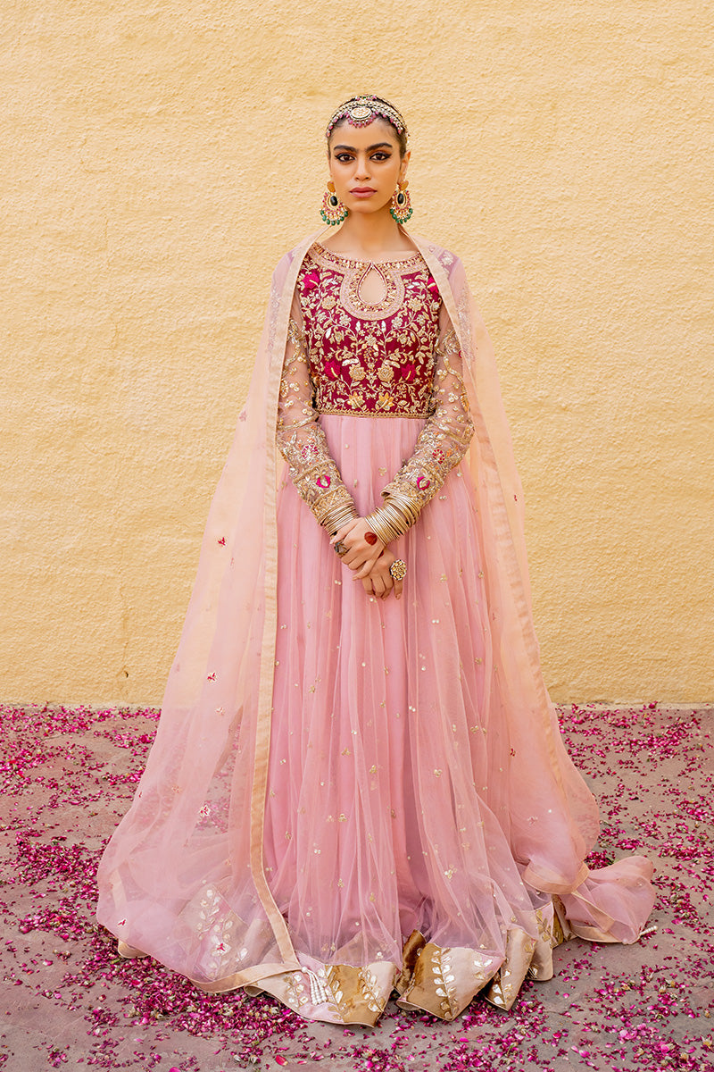 Pakistani Blush Pink Hand-Embroidered Net & Silk Pishwas (2-Piece) - Image 1