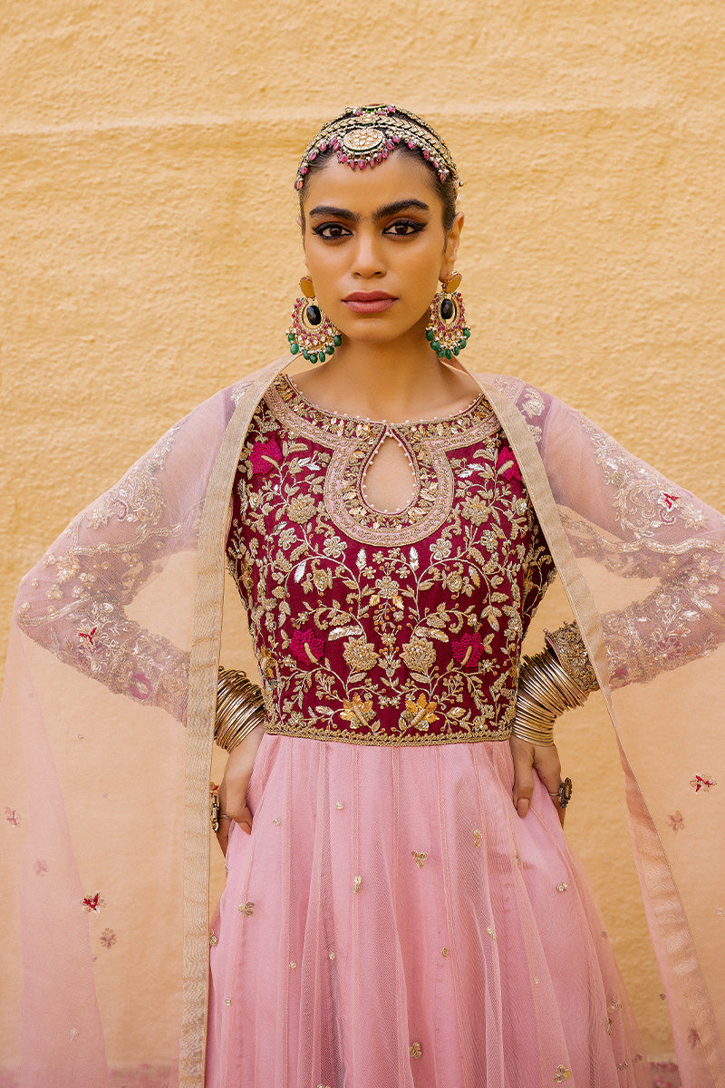 Pakistani Blush Pink Hand-Embroidered Net & Silk Pishwas (2-Piece) - Image 2