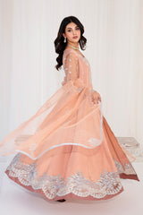 Pakistani Peach Embellished Korean Raw Silk Pishwas (3-Piece) - Image 6