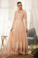 Powder Pink Embroidered Silk Net Pishwas (3-Piece) - Image 4