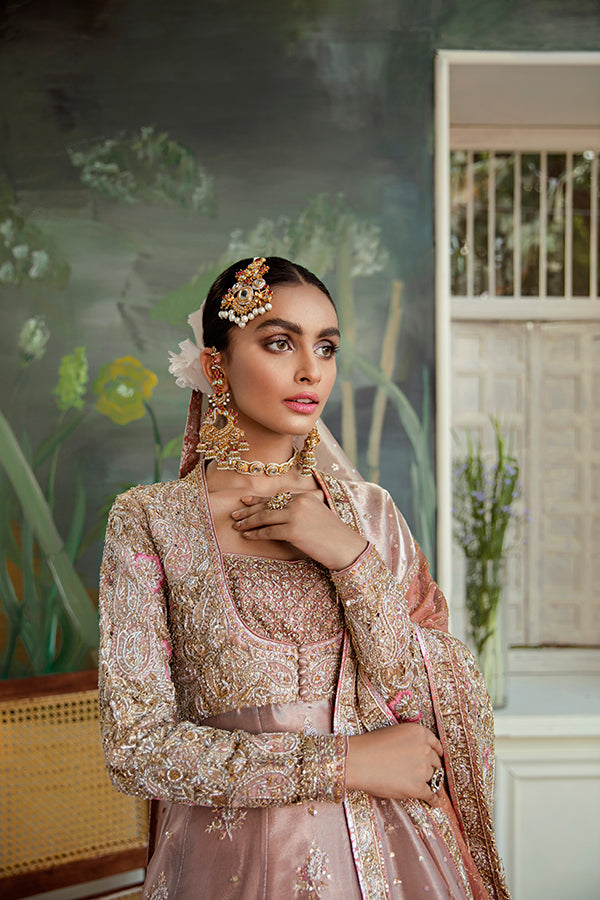 Indian Blush Pink Embellished Tissue Pishwas Dress (2-Piece) - Image 3