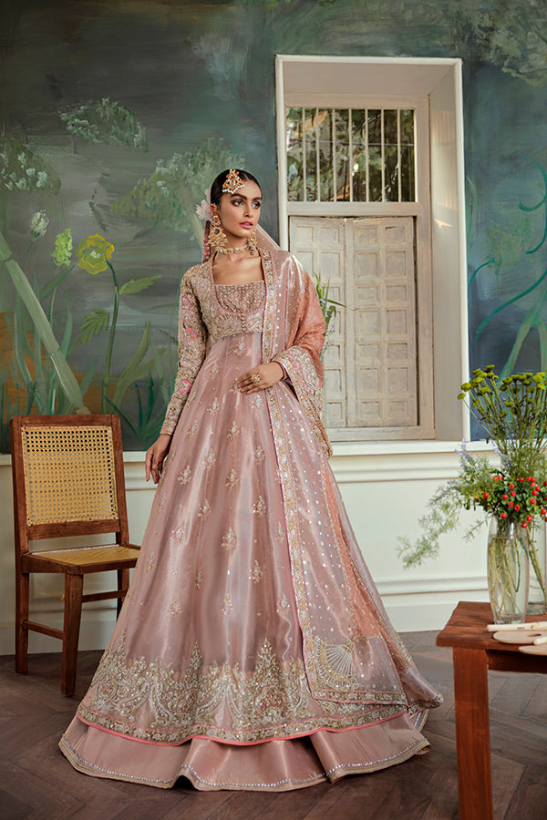 Pakistani Blush Pink Embellished Tissue Pishwas (2-Piece) - Image 1