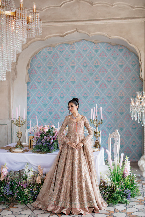 Indian Soft Pink Hand-Embellished Tissue Pishwas Dress (3-Piece) - Image 1