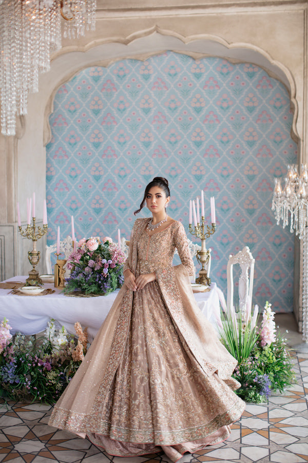 Indian Soft Pink Hand-Embellished Tissue Pishwas Dress (3-Piece) - Image 3