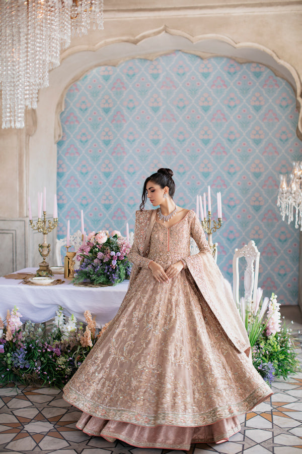 Indian Soft Pink Hand-Embellished Tissue Pishwas Dress (3-Piece) - Image 4