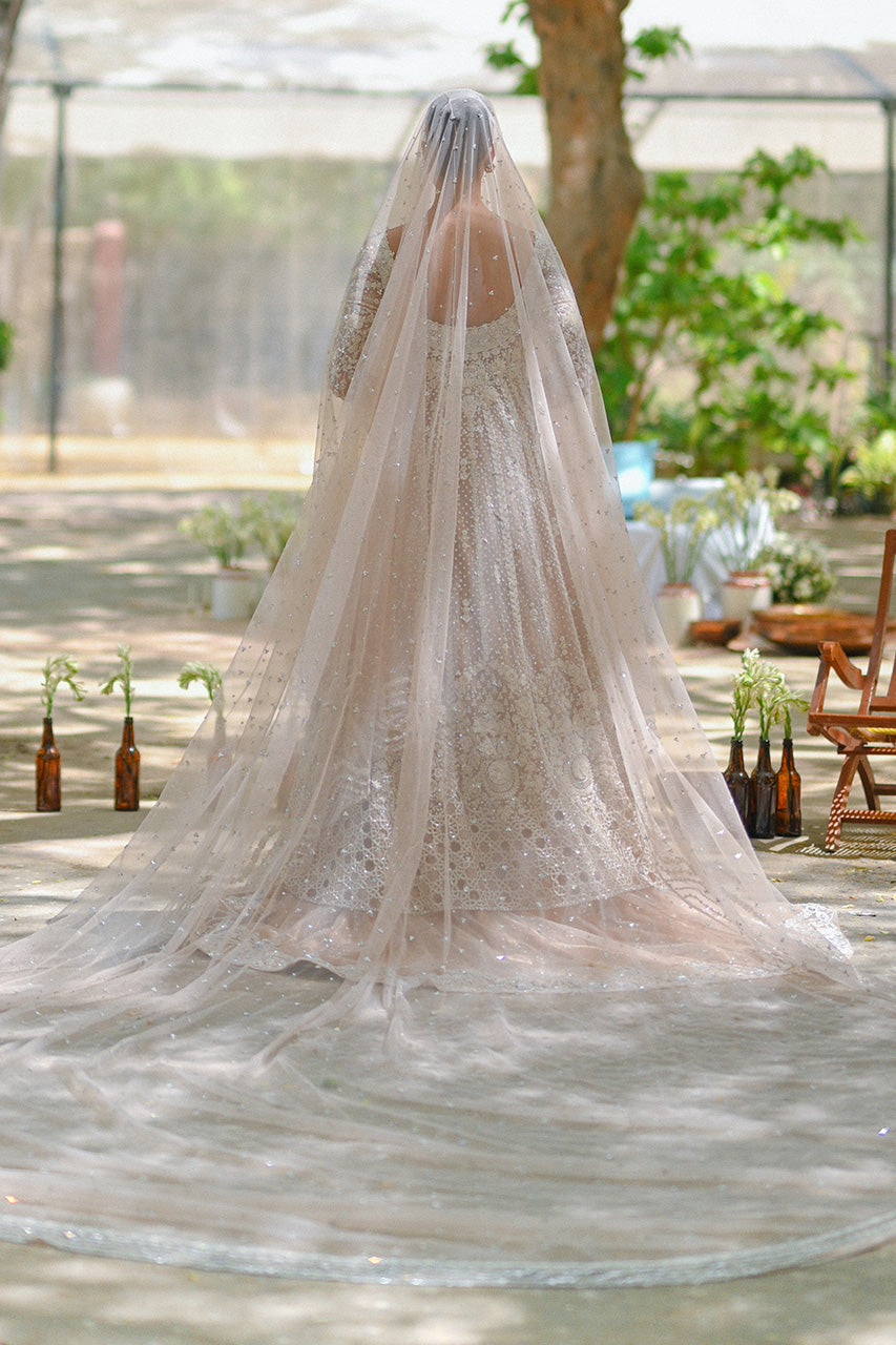 Pakistani Pale Pink Embroidered Tulle Pishwas Dress (3-Piece) - Image 2