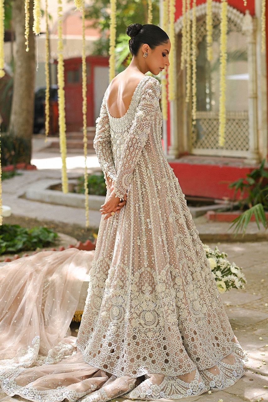 Pakistani Pale Pink Embroidered Tulle Pishwas Dress (3-Piece) - Image 4