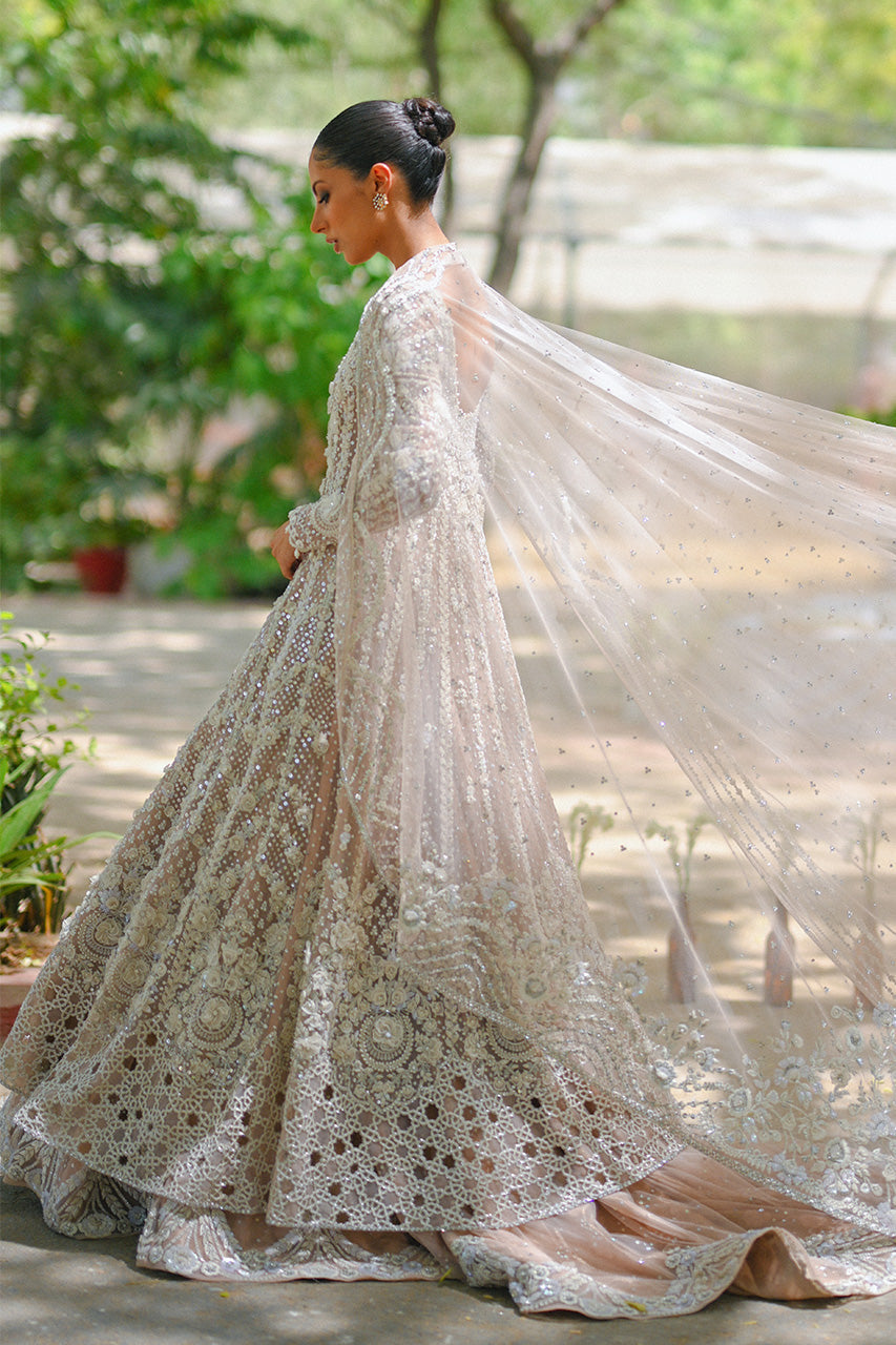 Pakistani Pale Pink Embroidered Tulle Pishwas Dress (3-Piece) - Image 5