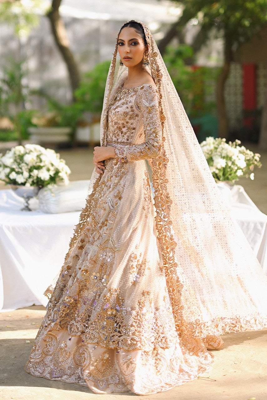 Pale Pink Zardozi Tulle Pishwas Dress (3-Piece) - Image 3