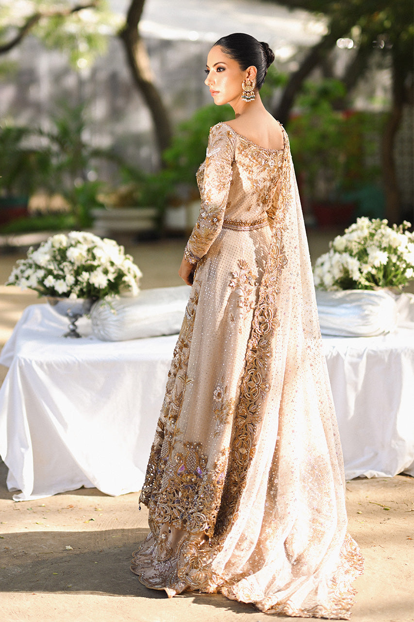 Pale Pink Zardozi Tulle Pishwas Dress (3-Piece) - Image 4