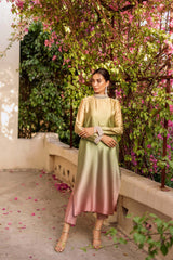 Pakistani Shaded Nude-Pink Embellished Chamois Silk Salwar Kameez (2-Piece) - Image 4