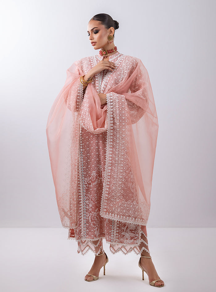 Pakistani Peachy Pink Embroidered Pure Chiffon Kameez (3-Piece) - Image 3