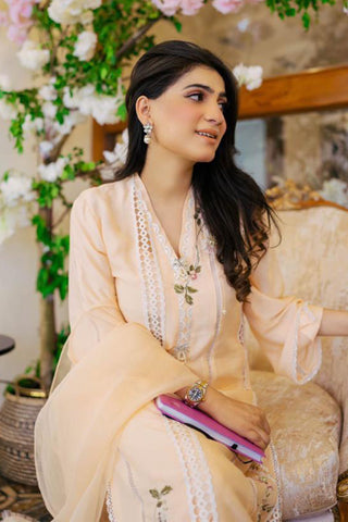 Pakistani Peach Embroidered Cotton Karandi Salwar Kameez (3-Piece) - Image 3