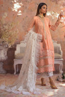 Pakistani Peach Embroidered Cotton Net & Zari Lorex Salwar Kameez (3-Piece) - Image 2