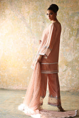 Peach Pink Embroidered Khaadi Net & Silk Salwar Kameez (3-Piece) - Image 4