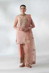 Pakistani Peach Embroidered Korean Raw Silk Salwar Kameez (3-Piece) - Image 2
