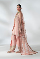 Pakistani Peach Embroidered Korean Raw Silk Salwar Kameez (3-Piece) - Image 5