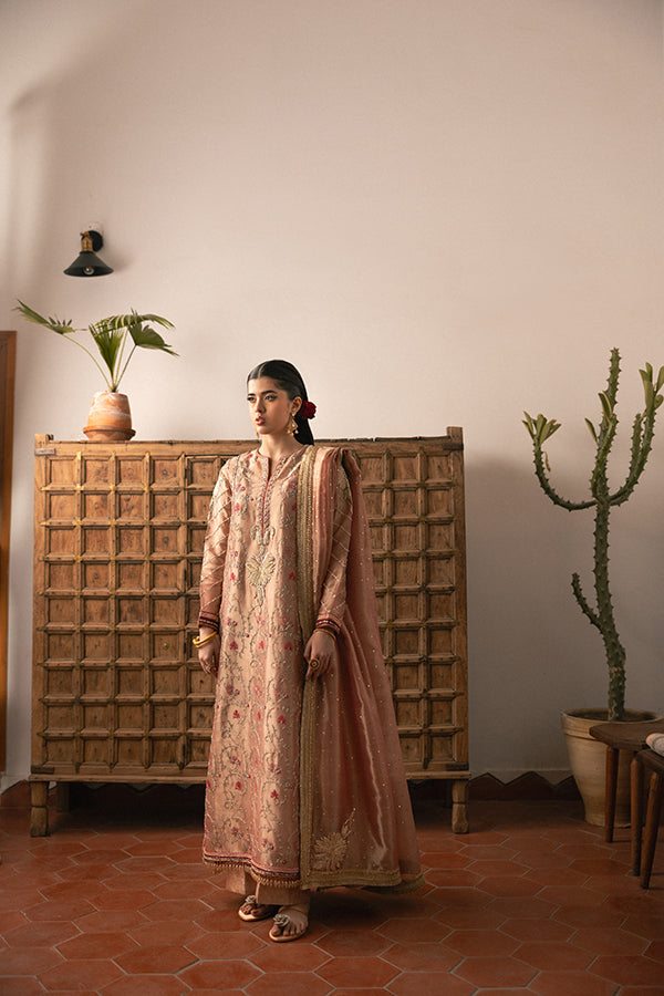 Soft Rose Embroidered Lame Salwar Kameez (3-Piece) - Image 1