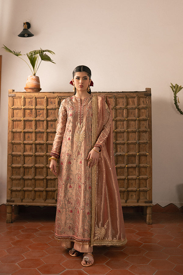 Soft Rose Embroidered Lame Salwar Kameez (3-Piece) - Image 3