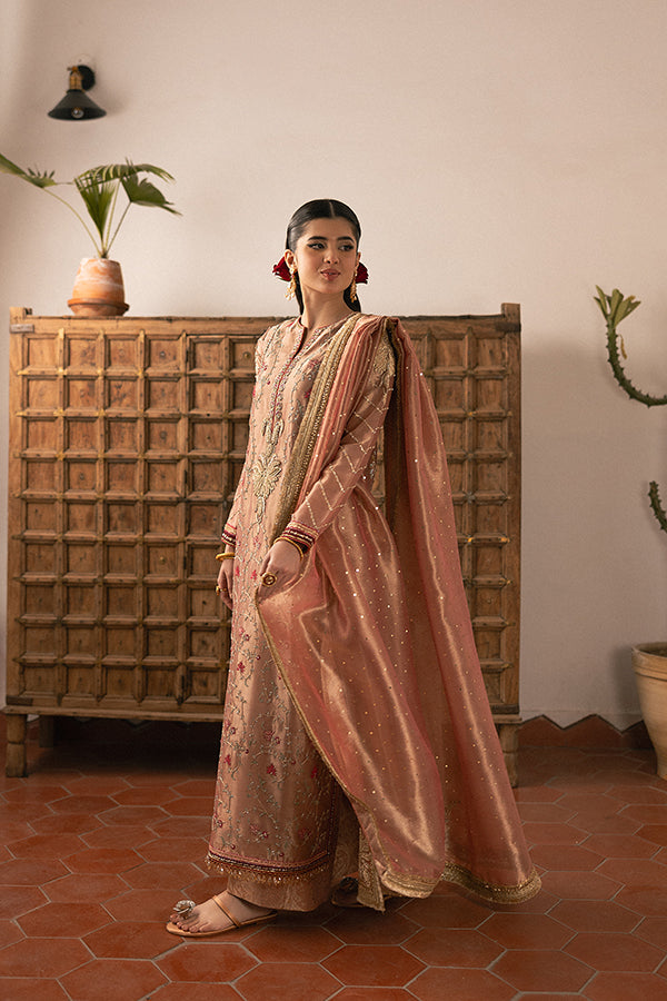 Soft Rose Embroidered Lame Salwar Kameez (3-Piece) - Image 6