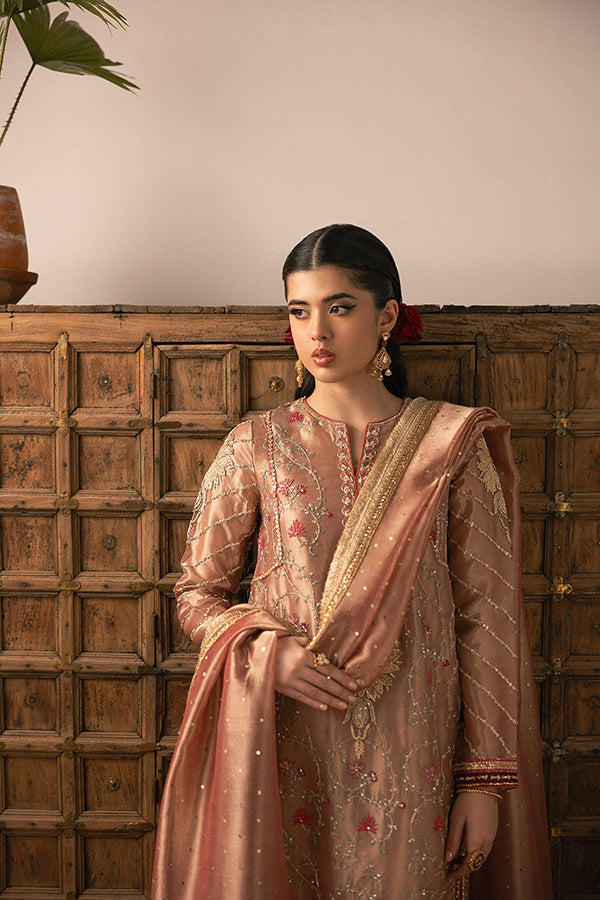 Soft Rose Embroidered Lame Salwar Kameez (3-Piece) - Image 7